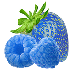 Vitamin Drink Berryade Volt