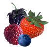 Energy Drink Wild Berry Ice Tea